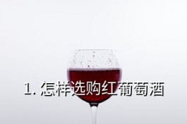 如何选购红酒干红葡萄酒(怎样选购红葡萄酒)