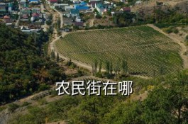 韶关市曲江区青溪源酒厂 农民街在哪