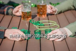 贵州茅台招聘网站 贵州茅台招聘2020年怎么提交失败