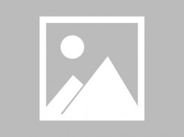 试管婴儿双胞胎新观点 见过“双黄”鸡蛋孵出小鸡吗